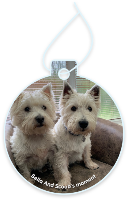 Bella and Scoob’s moment