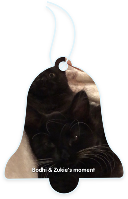 Bodhi & Zukie’s moment