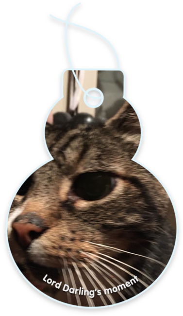 Lord Darling’s moment