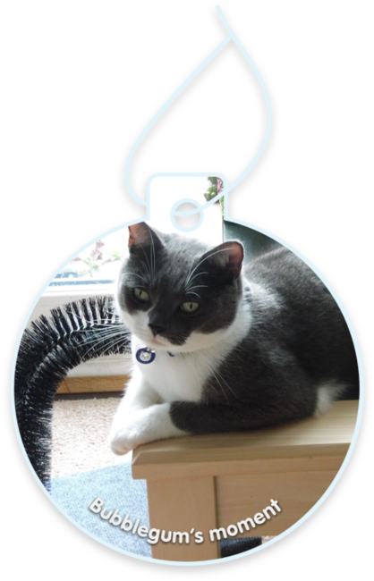 Bubblegum’s moment