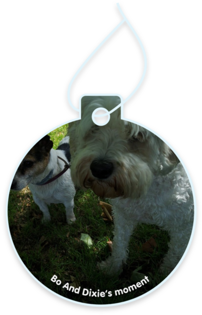 Bo and Dixie’s moment