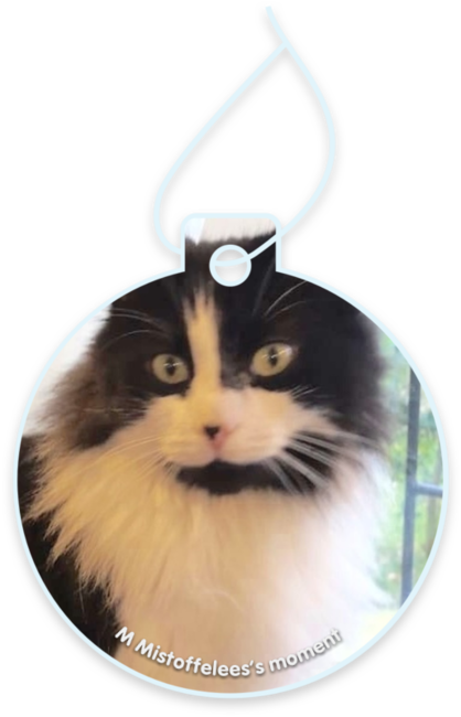 M Mistoffelees’s moment