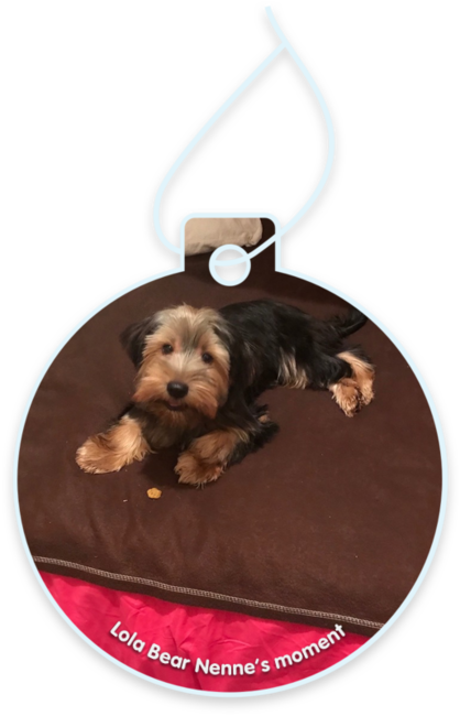 Lola Bear Nenne’s moment