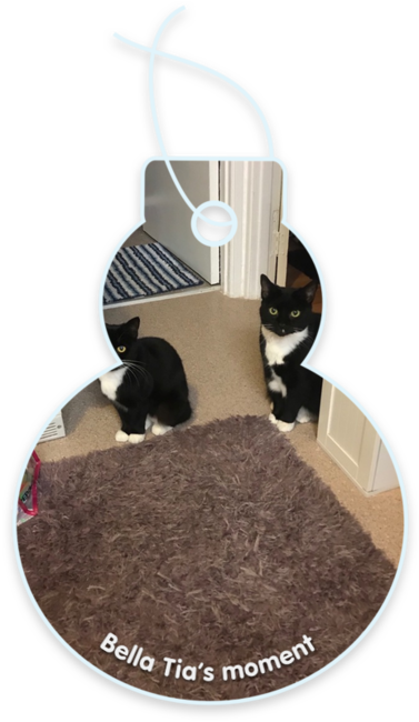 Bella tia’s moment