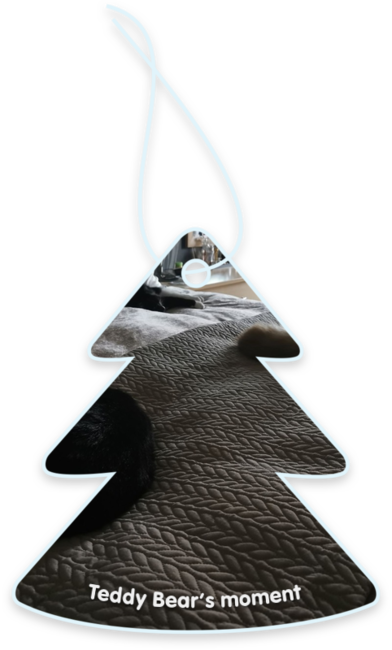 Teddy bear’s moment