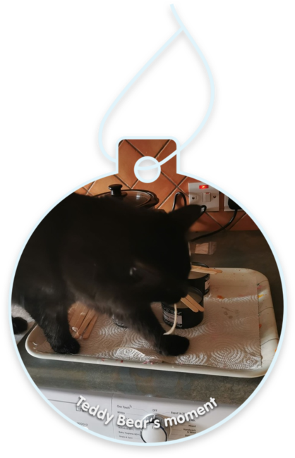 Teddy bear’s moment