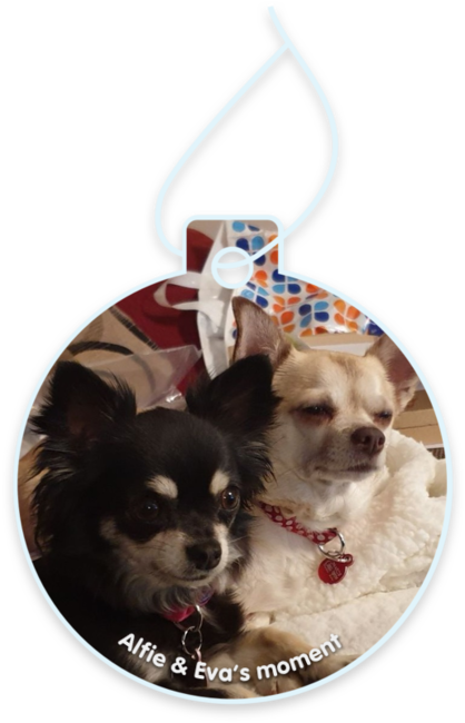 Alfie & Eva’s moment