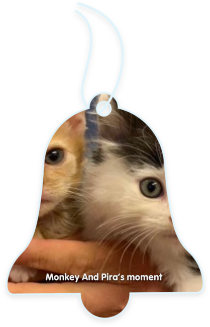 Monkey and Pira’s moment