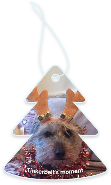 Tinkerbell’s moment