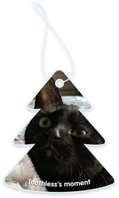 Toothless’s moment