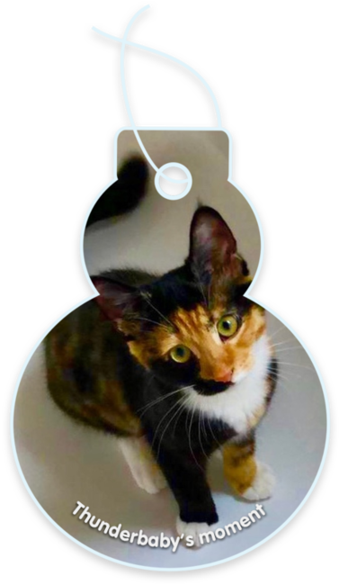 Thunderbaby’s moment