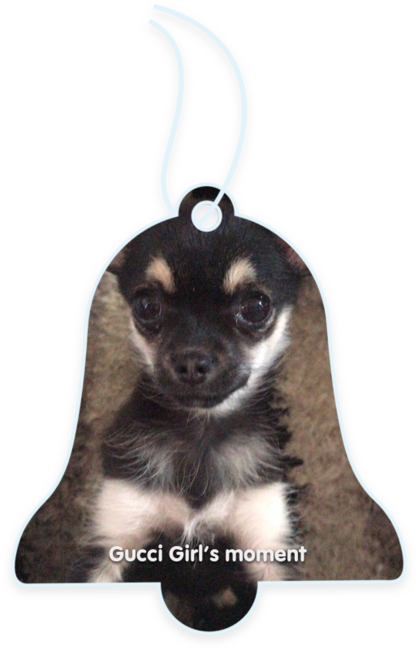 Gucci girl’s moment