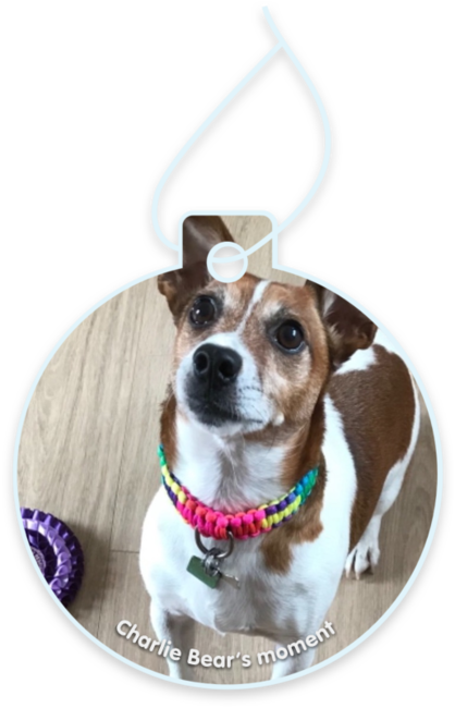 Charlie Bear’s moment