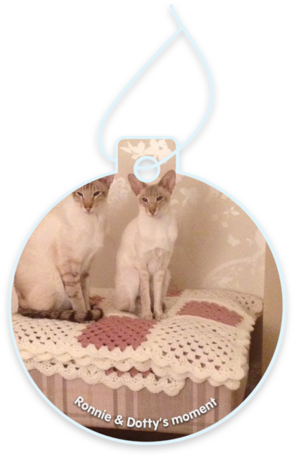 Ronnie & Dotty’s moment