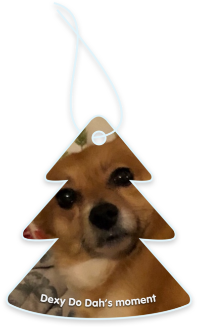 Dexy Do Dah’s moment