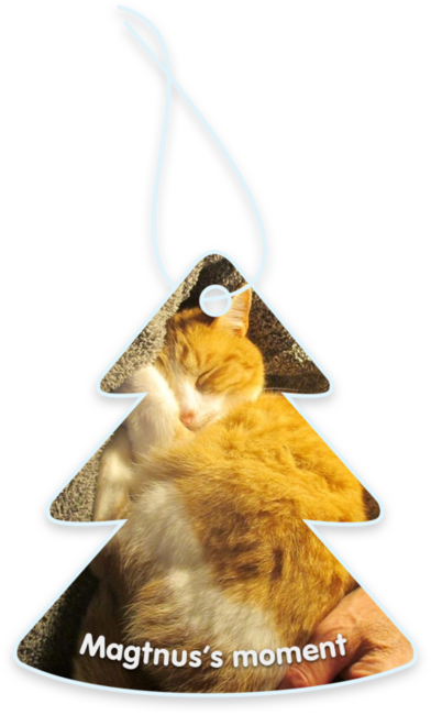 Magtnus’s moment