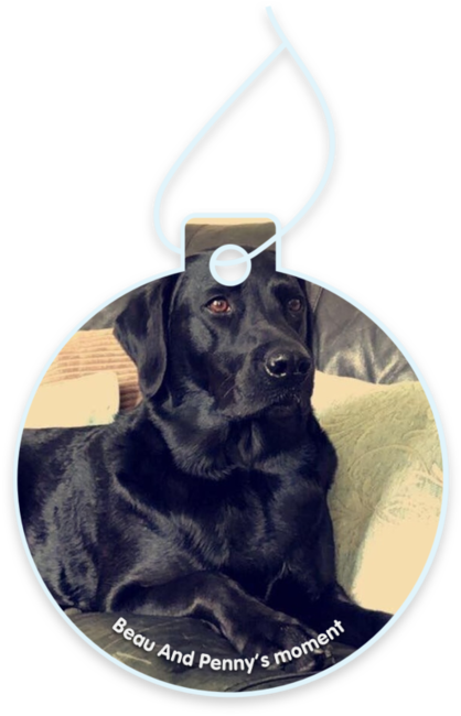 Beau and Penny’s moment