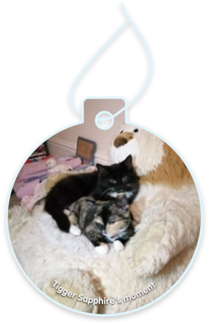 Tigger sapphire’s moment