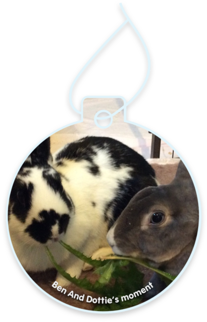 Ben and Dottie’s moment