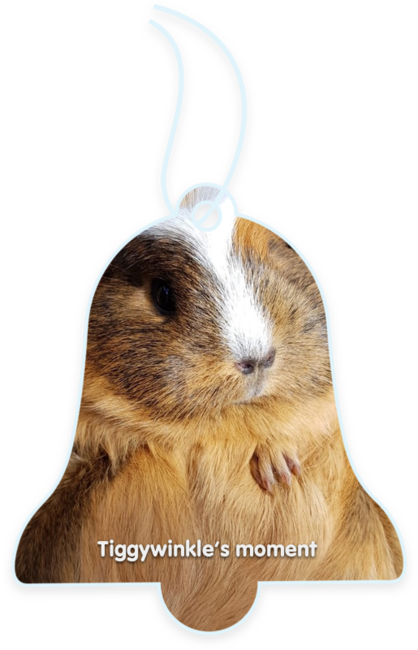 Tiggywinkle’s moment