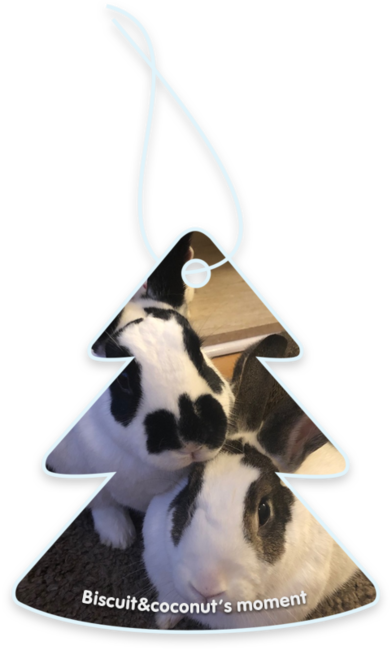 Biscuit&Coconut’s moment