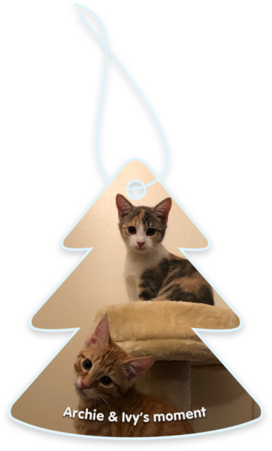 Archie & Ivy’s moment