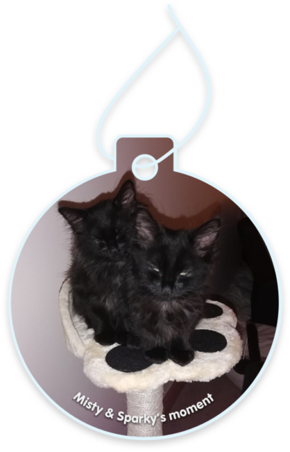 Misty & Sparky’s moment