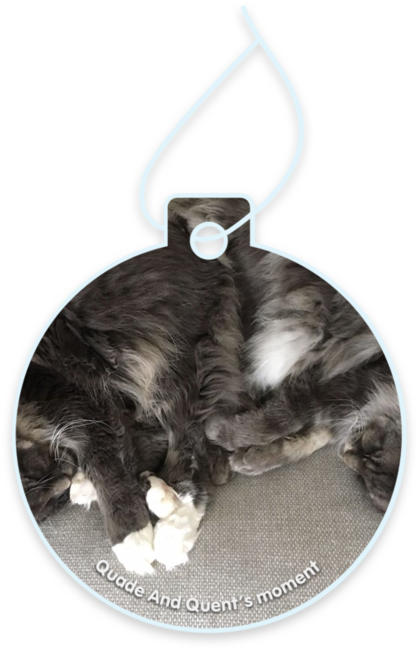 Quade and Quent’s moment