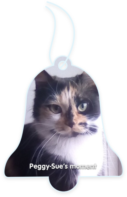 Peggy-sue’s moment