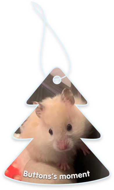 Buttons’s moment