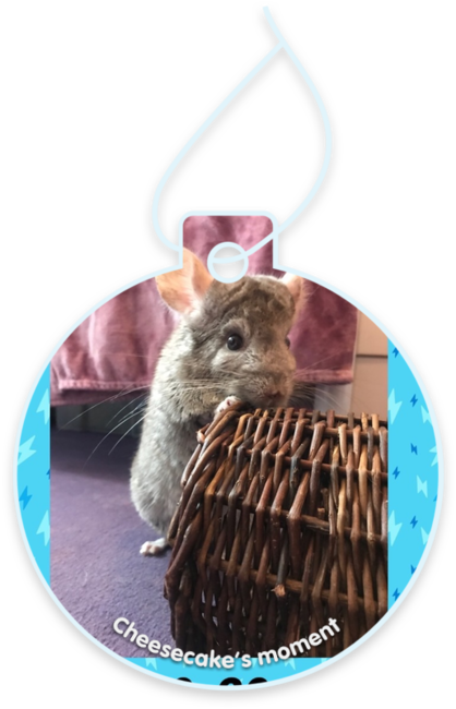 Cheesecake’s moment