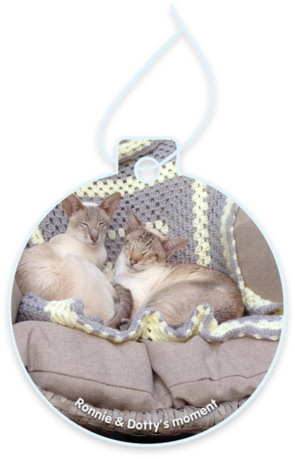 Ronnie & Dotty’s moment