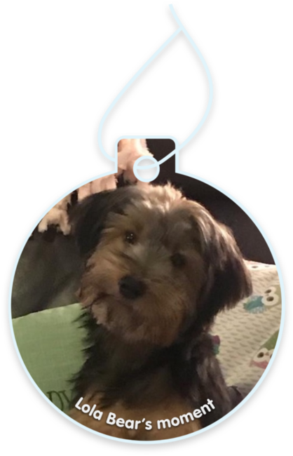 Lola Bear’s moment