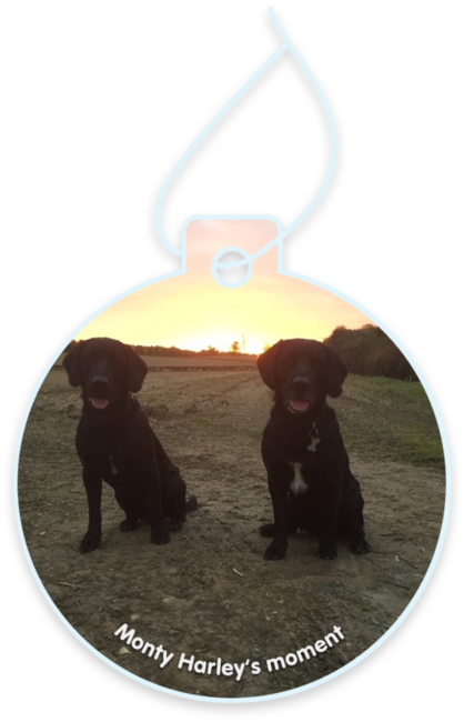 Monty Harley’s moment