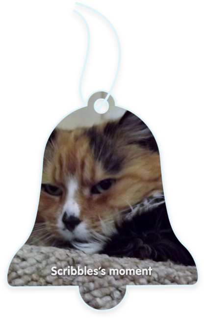 Scribbles’s moment