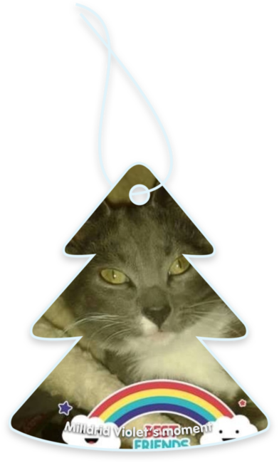 Milldrid Violet’s moment