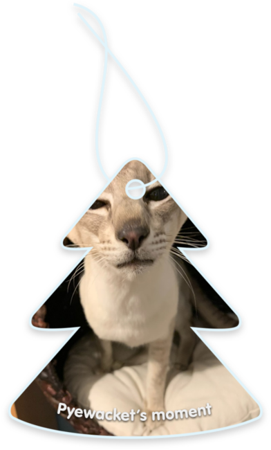 Pyewacket’s moment