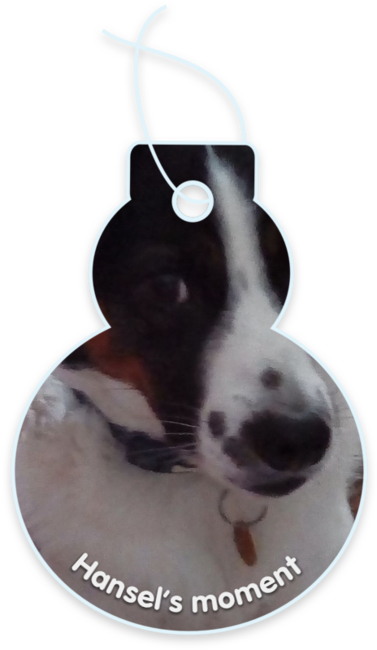 Hansel’s moment