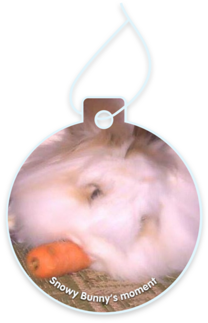 Snowy Bunny’s moment