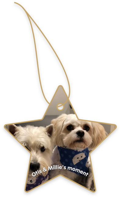 Otis & Millie’s moment