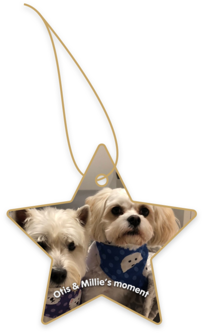 Otis & Millie’s moment