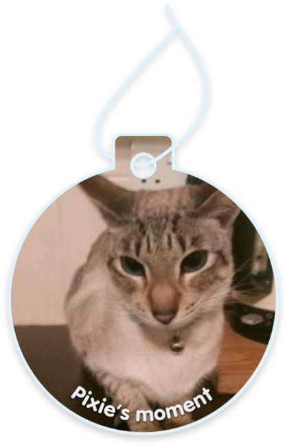 Pixie’s moment