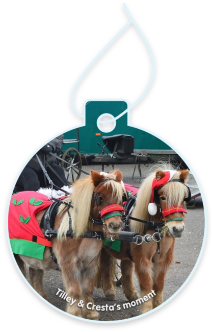 Tilley & Cresta’s moment