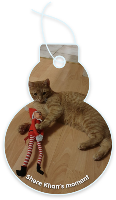 Shere Khan’s moment