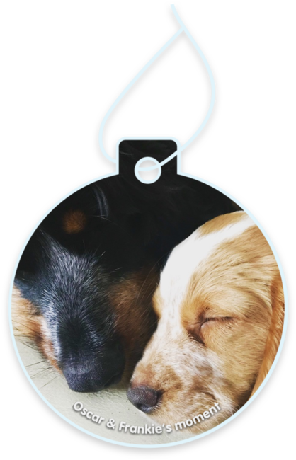 Oscar & Frankie’s moment