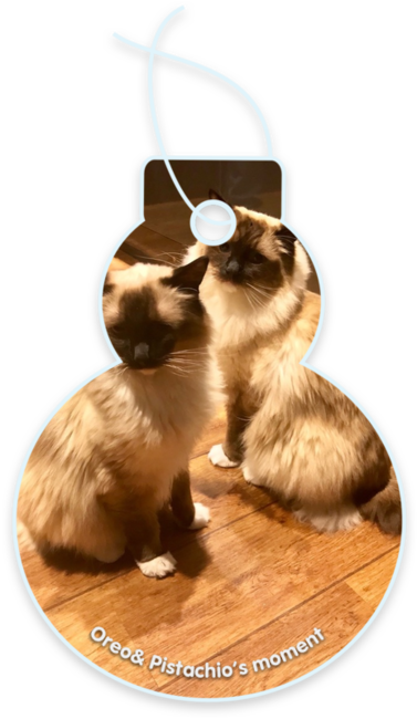 Oreo& Pistachio’s moment