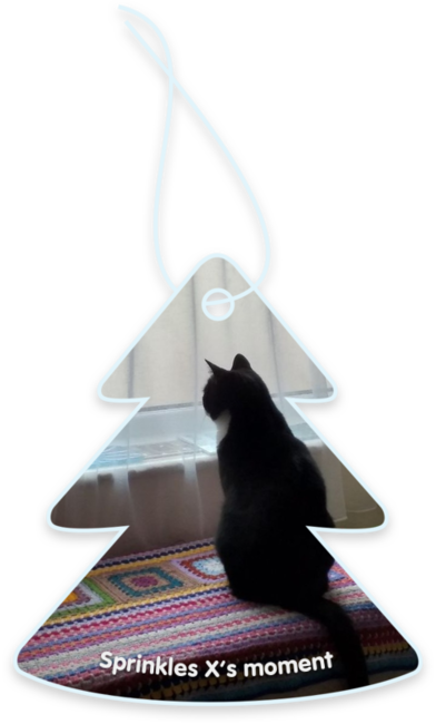 SPRINKLES X’s moment