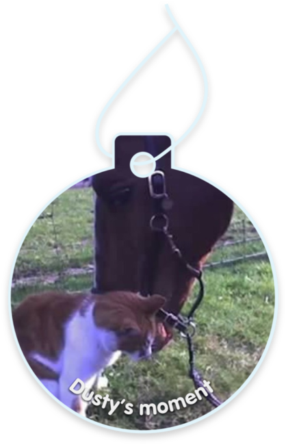 Dusty’s moment