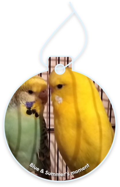 Blue & summer’s moment