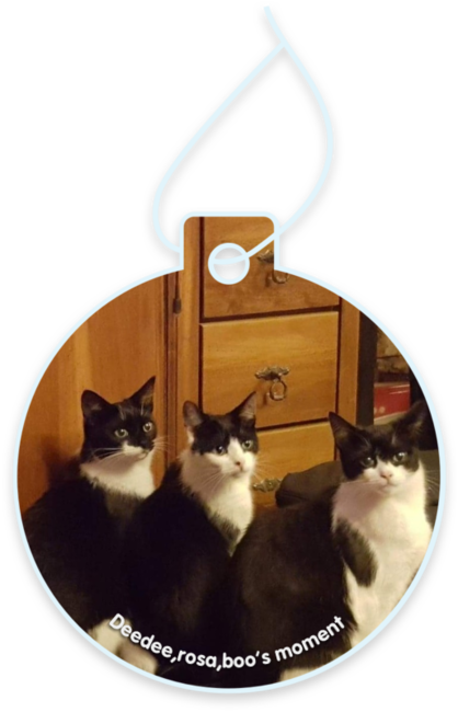 DeeDee,Rosa,Boo’s moment